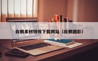 华容白鹅素材特效下载网站（白鹅摄影）